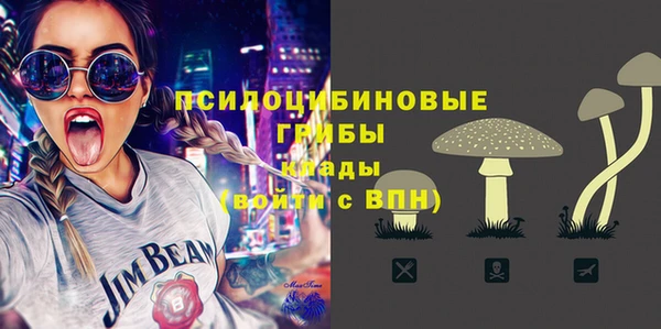соль ск Балахна