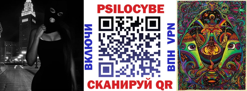 наркотики  Сухой Лог  Псилоцибиновые грибы мицелий 